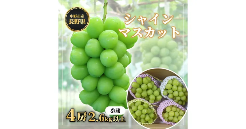 【ふるさと納税】長野県中野市産　冬でも食べれる　シャインマスカット4房(2.6kg以上)_ マスカット ぶどう ブドウ 葡萄 フルーツ 果物 くだもの 人気 美味しい ふるさと 中野市 ギフト プレゼント 贈り物 【配送不可地域：離島】【1331183】