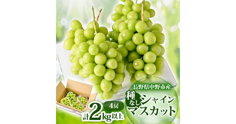 【ふるさと納税】長野県　中野市産　シャインマスカット4房(2.0kg以上)_ シャインマスカット 葡萄 ぶどう ブドウ フルーツ 果物 ふるーつ くだもの 国産 旬 ギフト ジューシー 甘い プレゼント 贈り物 送料無料 【配送不可地域：離島・北海道・沖縄県】【1331114】