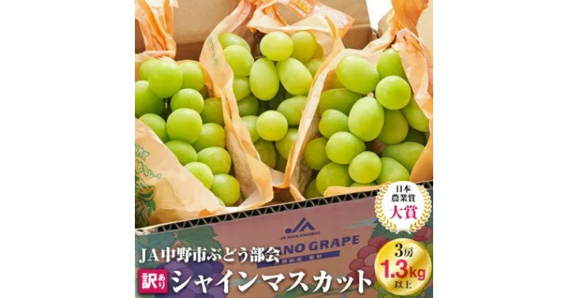 【ふるさと納税】＼ランキング1位／_【2025年発送】訳ありシャインマスカット3房1.3kg以上　ご自分へのご褒美　JA中野市から産直_ シャインマスカット マスカット ぶどう ブドウ 葡萄 訳あり 訳アリ 【配送不可地域：離島・北海道・沖縄県】【1422800】