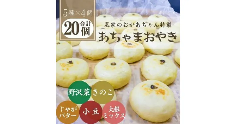 【ふるさと納税】あちゃまおやき(5種×4個セット)【配送不可地域：離島】【1494240】