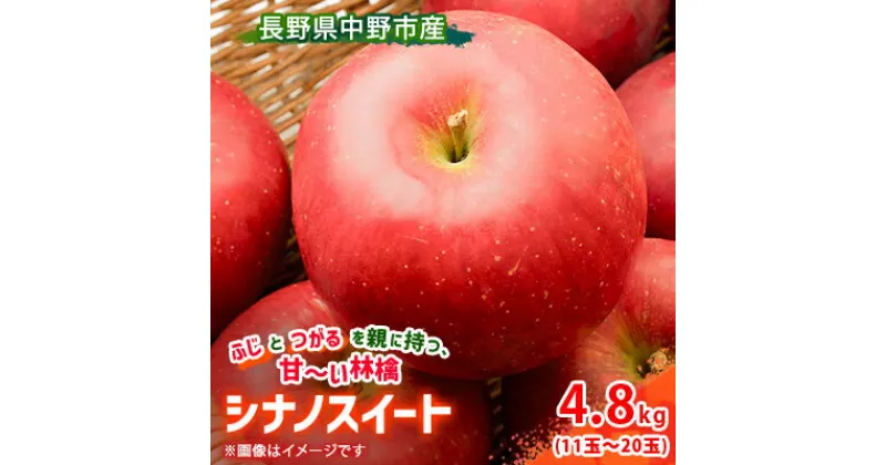 【ふるさと納税】【先行予約】 りんご シナノスイート 4.8kg 長野県産【1496534】