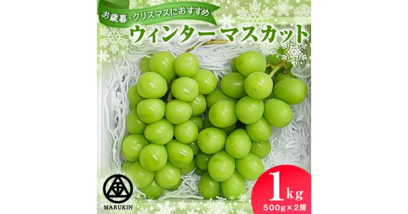 【ふるさと納税】ウィンターマスカット　合計1kg(500g×2房)【配送不可地域：離島】【1496442】