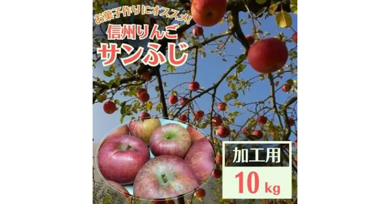 【ふるさと納税】信州りんご 加工用 10kg サンふじ【1508406】