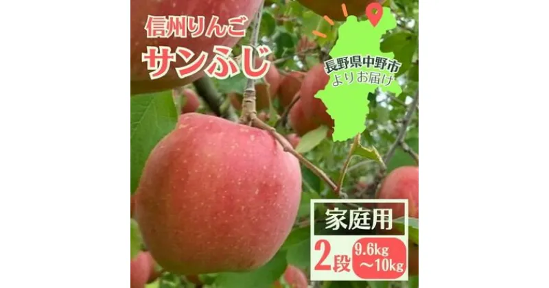 【ふるさと納税】信州りんご サンふじ(2段)計9.6kg～10kg 家庭用【11月中旬より順次発送】【1508408】