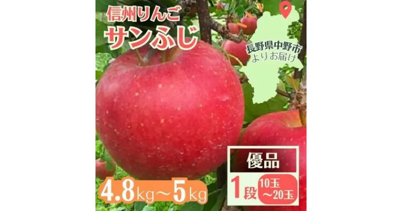 【ふるさと納税】信州りんご サンふじ(1段)4.8kg～5kg 優品【11月中旬より順次発送】【1508409】