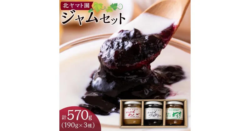 【ふるさと納税】ジャム セット 570g ( 190g × 3種 ) 北ヤマト園 | 食品 加工食品 人気 おすすめ 送料無料