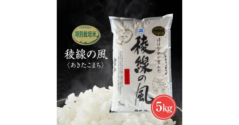 【ふるさと納税】特別栽培米 稜線の風（あきたこまち） 5kg | お米 こめ 白米 食品 人気 おすすめ 送料無料