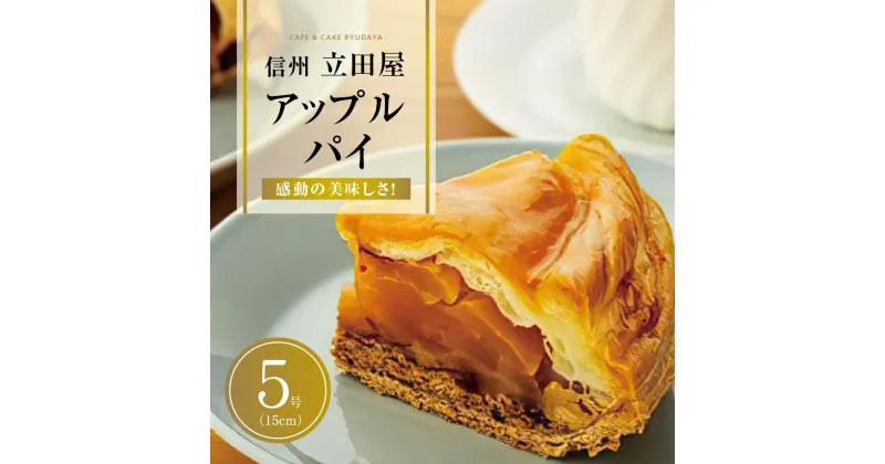 【ふるさと納税】お菓子 焼菓子 アップルパイ 5号 ( 約15cm ) 1台 信州 立田屋 | 菓子 おかし スイーツ デザート 食品 人気 おすすめ 送料無料