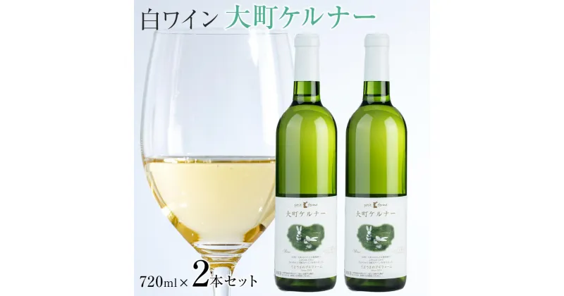 【ふるさと納税】酒 ワイン 白ワイン セット 2本 × 720ml 長野県産 | お酒 さけ 人気 おすすめ 送料無料 ギフト 数量限定