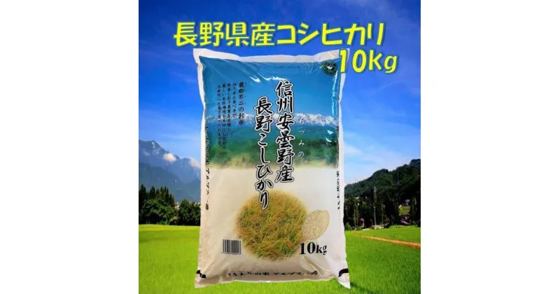 【ふるさと納税】米 コシヒカリ 長野県産 10kg | お米 こめ 白米 食品 人気 おすすめ 送料無料