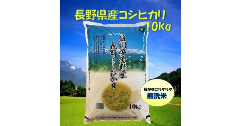 【ふるさと納税】米 無洗米 コシヒカリ 長野県産 10kg | お米 こめ 白米 食品 人気 おすすめ 送料無料