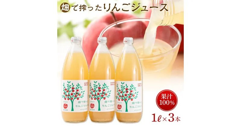 【ふるさと納税】りんご ジュース 3本 × 各1000ml 大町産 箱入り | 飲料 果実飲料 ドリンク 食品 人気 おすすめ 送料無料