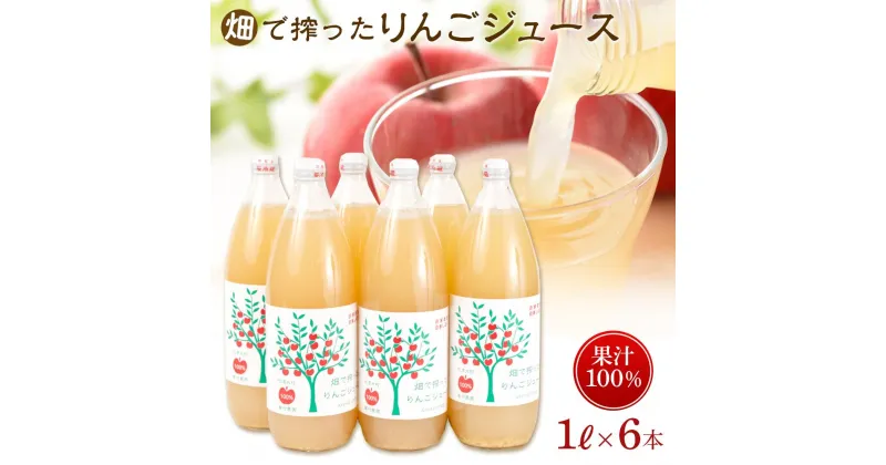 【ふるさと納税】りんご ジュース 6本 × 各1000ml 大町産 箱入り | 飲料 果実飲料 ドリンク 食品 人気 おすすめ 送料無料