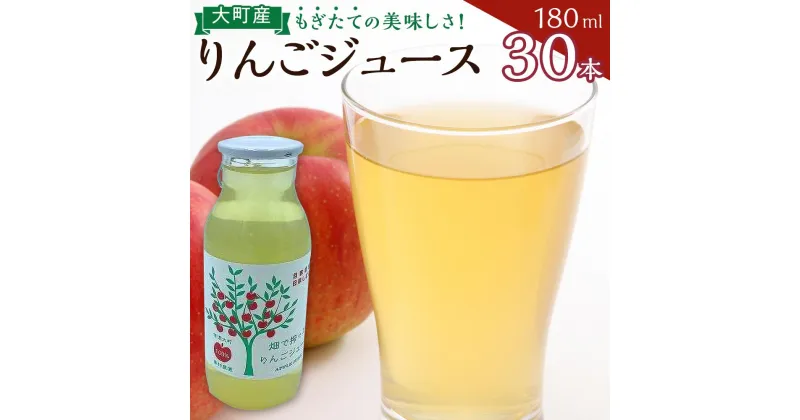 【ふるさと納税】りんご ジュース セット 30本 × 180ml 大町産 | 飲料 果実飲料 ドリンク 食品 人気 おすすめ 送料無料