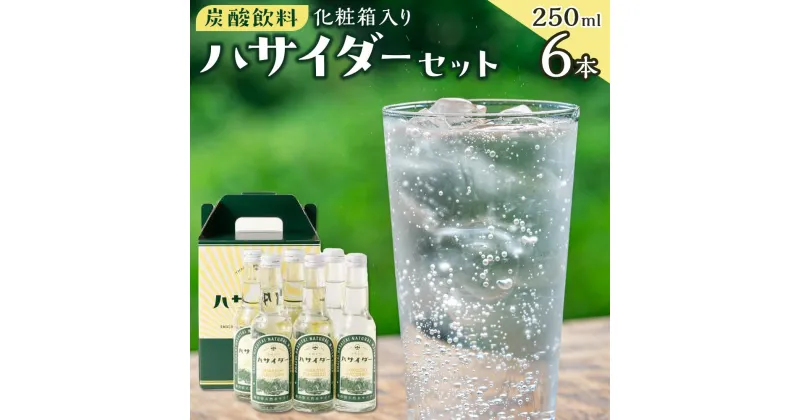 【ふるさと納税】炭酸飲料 サイダー セット 6本 × 250ml ハサイダー 箱入り | 飲料 ソフトドリンク 人気 おすすめ 送料無料