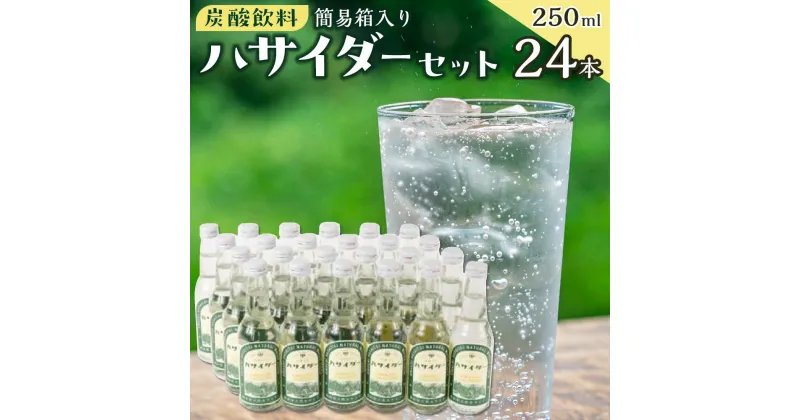 【ふるさと納税】炭酸飲料 サイダー セット 24本 × 250ml ハサイダー | 飲料 ソフトドリンク 人気 おすすめ 送料無料