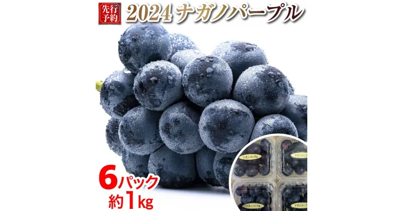 【ふるさと納税】2024 PI ナガノパープル　冷凍粒採り6パック　中粒小粒　約1キロ　【9月末頃～順次発送予定】　長野県産　国際特許有機肥料栽培 | フルーツ 果物 くだもの 食品 人気 おすすめ 送料無料