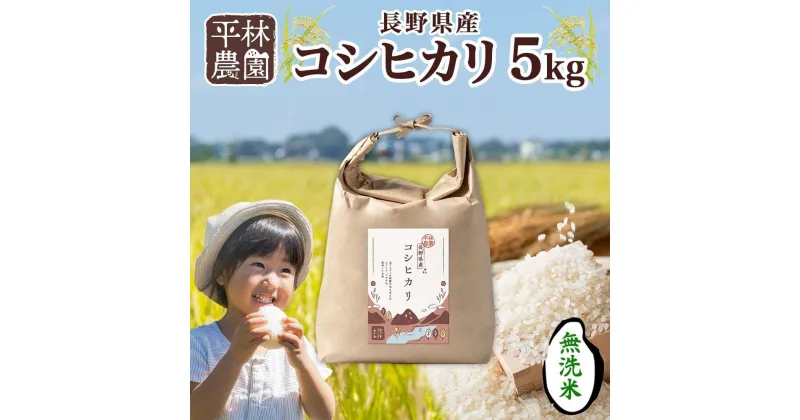 【ふるさと納税】令和6年産 コシヒカリ 無洗米 5kg×1袋 長野県産 米 白米 精米 お米 ごはん ライス 新米 甘み 農家直送 産直 信州 人気 ギフト 時短 お取り寄せ 平林農園 送料無料 長野県 大町市 | お米 こめ 白米 食品 人気 おすすめ 送料無料