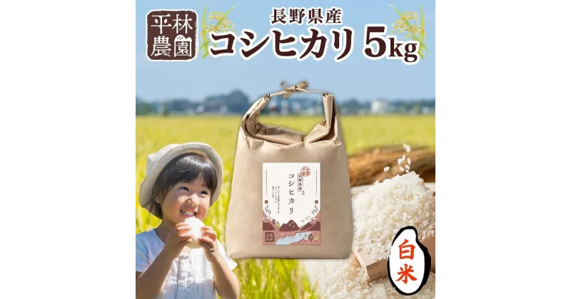 【ふるさと納税】令和6年産 コシヒカリ 白米 5kg×1袋 長野県産 米 精米 お米 ごはん ライス 甘み 農家直送 産直 信州 人気 ギフト お取り寄せ 平林農園 送料無料 長野県 大町市 | お米 こめ 白米 食品 人気 おすすめ 送料無料