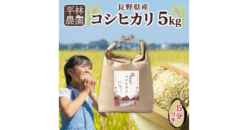 【ふるさと納税】令和6年産 コシヒカリ 5分づき米 5kg×1袋 長野県産 米 お米 ごはん ライス 分つき米 農家直送 産直 信州 人気 ギフト お取り寄せ 平林農園 送料無料 長野県 大町市 | お米 こめ 白米 食品 人気 おすすめ 送料無料