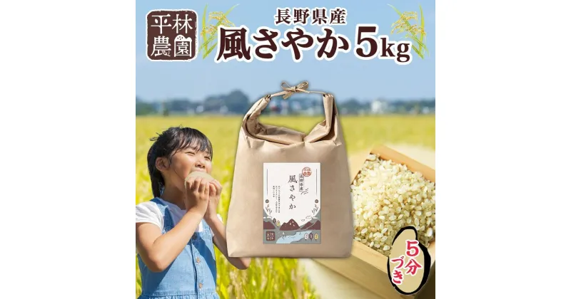 【ふるさと納税】＜新米予約＞令和6年産 風さやか 5分づき米 5kg×1袋 長野県産 米 お米 ごはん ライス 分つき米 農家直送 産直 信州 人気 ギフト お取り寄せ 平林農園 送料無料 長野県 大町市 | お米 こめ 白米 食品 人気 おすすめ 送料無料