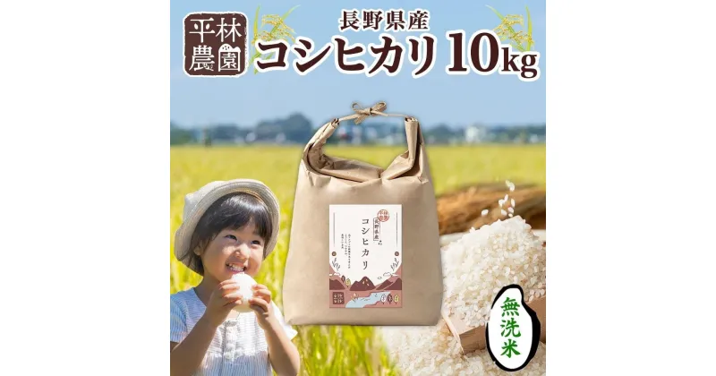 【ふるさと納税】令和6年産 コシヒカリ 無洗米 10kg×1袋 長野県産 米 白米 精米 お米 ごはん ライス 甘み 農家直送 産直 信州 人気 ギフト 時短 お取り寄せ 平林農園 送料無料 長野県 大町市 | お米 こめ 白米 食品 人気 おすすめ 送料無料