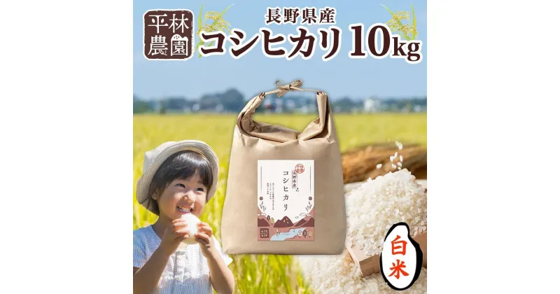 【ふるさと納税】令和6年産 コシヒカリ 白米 10kg×1袋 長野県産 米 精米 お米 ごはん ライス 甘み 農家直送 産直 信州 人気 ギフト お取り寄せ 平林農園 送料無料 長野県 大町市 | お米 こめ 白米 食品 人気 おすすめ 送料無料