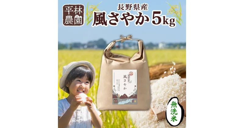 【ふるさと納税】＜新米予約＞令和6年産 風さやか 無洗米 5kg×1袋 長野県産 米 白米 精米 お米 ごはん ライス 甘み 農家直送 産直 信州 人気 ギフト 時短 お取り寄せ 平林農園 送料無料 長野県 大町市 | お米 こめ 白米 食品 人気 おすすめ 送料無料