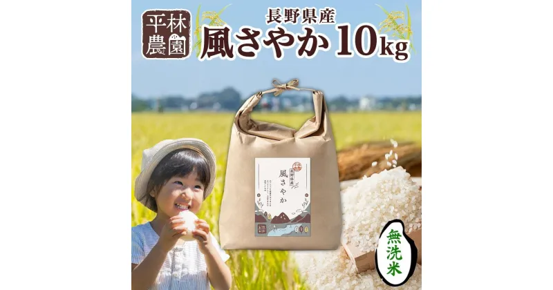 【ふるさと納税】＜新米予約＞令和6年産 風さやか 無洗米 10kg×1袋 長野県産 米 白米 精米 お米 ごはん ライス 甘み 農家直送 産直 信州 人気 ギフト 時短 お取り寄せ 平林農園 送料無料 長野県 大町市 | お米 こめ 白米 食品 人気 おすすめ 送料無料