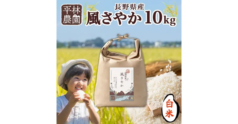 【ふるさと納税】＜新米予約＞令和6年産 風さやか 白米 10kg×1袋 長野県産 米 精米 お米 ごはん ライス 甘み 農家直送 産直 信州 人気 ギフト お取り寄せ 平林農園 送料無料 長野県 大町市 | お米 こめ 白米 食品 人気 おすすめ 送料無料