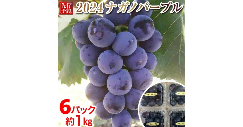 【ふるさと納税】2024 P ナガノパープル　粒採り6パック　中粒小粒　約1キロ　長野県産 【9月中旬頃～順次発送予定】国際特許有機肥料栽培 | フルーツ 果物 くだもの 食品 人気 おすすめ 送料無料