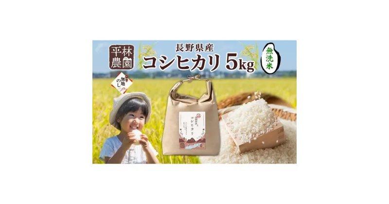 【ふるさと納税】無地熨斗 令和6年産 コシヒカリ 無洗米 5kg×1袋 長野県産 米 白米 精米 お米 ごはん 甘み 産直 信州 人気 ギフト 時短 平林農園 熨斗 のし 名入れ不可 送料無料 長野県 大町市 | お米 こめ 白米 食品 人気 おすすめ 送料無料