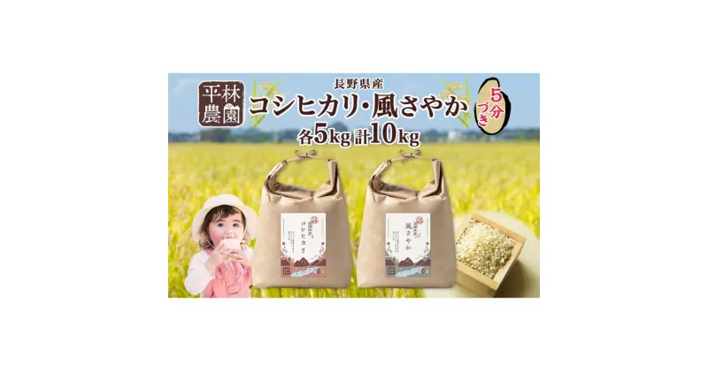 【ふるさと納税】＜新米予約＞令和6年産 コシヒカリ 風さやか 5分づき米 各5kg 長野県産 米 お米 ごはん ライス 分つき米 農家直送 産直 信州 人気 ギフト お取り寄せ 平林農園 送料無料 長野県 大町市 | お米 こめ 白米 食品 人気 おすすめ 送料無料