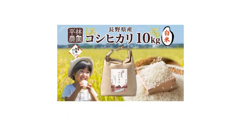 【ふるさと納税】無地熨斗 令和6年産 コシヒカリ 白米 10kg×1袋 長野県産 米 精米 お米 ごはん ライス 甘み 農家直送 産直 信州 人気 ギフト 平林農園 熨斗 のし 名入れ不可 送料無料 長野県 大町市 | お米 こめ 白米 食品 人気 おすすめ 送料無料