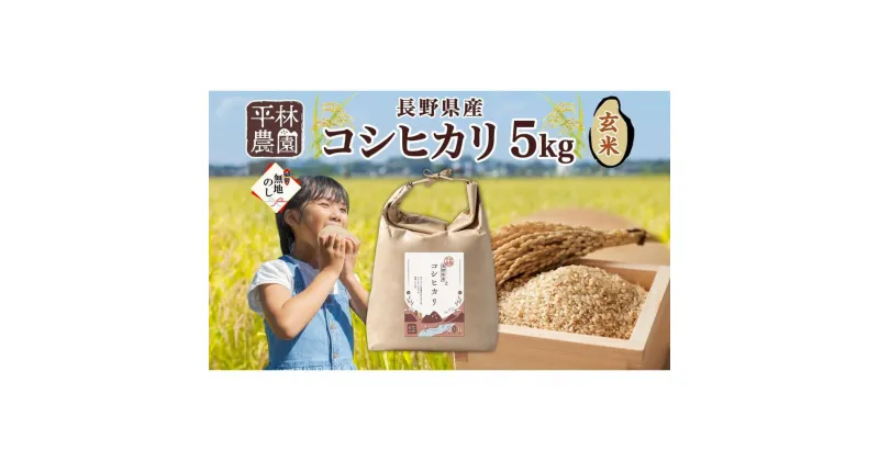 【ふるさと納税】無地熨斗 令和6年産 コシヒカリ 玄米 5kg×1袋 長野県産 米 お米 ごはん ライス 低GI 甘み 農家直送 産直 信州 人気 ギフト 平林農園 熨斗 のし 名入れ不可 送料無料 長野県 大町市 | お米 こめ 食品 人気 おすすめ 送料無料