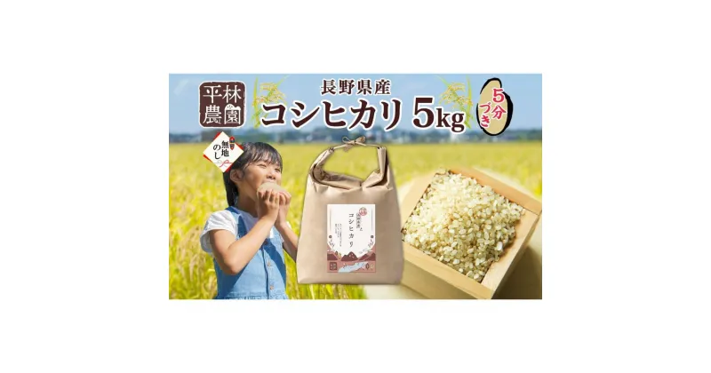 【ふるさと納税】無地熨斗 令和6年産 コシヒカリ 5分づき米 5kg×1袋 長野県産 米 お米 ごはん ライス 分つき米 農家直送 産直 信州 人気 ギフト 平林農園 熨斗 のし 名入れ不可 送料無料 長野県 大町市 | お米 こめ 白米 食品 人気 おすすめ 送料無料