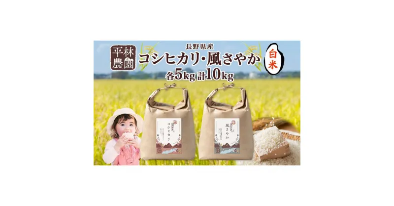 【ふるさと納税】＜新米予約＞令和6年産 コシヒカリ 風さやか 白米 各5kg 長野県産 米 精米 お米 ごはん ライス 甘み 農家直送 産直 信州 人気 ギフト お取り寄せ 平林農園 送料無料 長野県 大町市 | お米 こめ 白米 食品 人気 おすすめ 送料無料