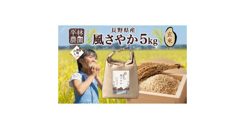 【ふるさと納税】＜新米予約＞無地熨斗 令和6年産 風さやか 玄米 5kg×1袋 長野県産 米 お米 ごはん ライス 低GI 甘み 農家直送 産直 信州 人気 ギフト 平林農園 熨斗 のし 名入れ不可 送料無料 長野県 大町市 | お米 こめ 食品 人気 おすすめ 送料無料