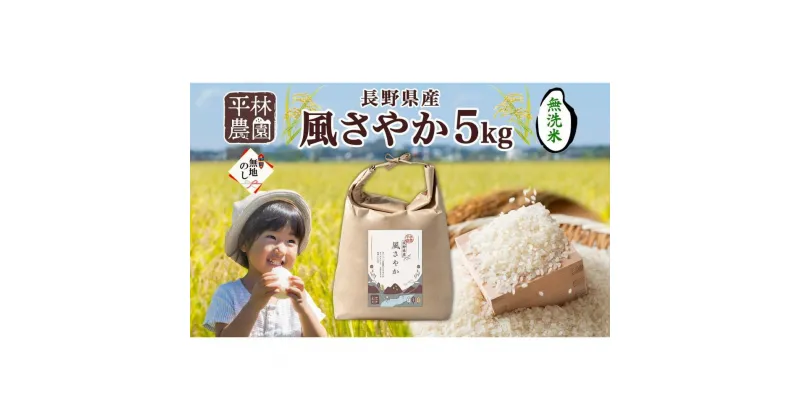 【ふるさと納税】＜新米予約＞無地熨斗 令和6年産 風さやか 無洗米 5kg×1袋 長野県産 米 白米 精米 お米 ごはん ライス 甘み 産直 信州 人気 ギフト 時短 平林農園 熨斗 のし 名入れ不可 送料無料 長野県 大町市 | お米 こめ 白米 食品 人気 おすすめ 送料無料