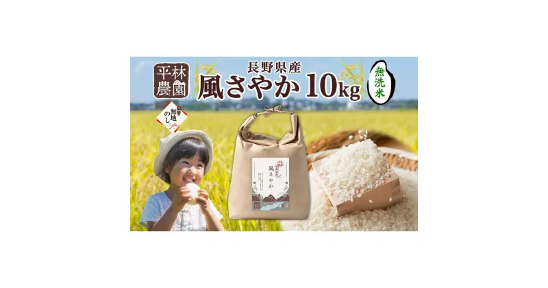 【ふるさと納税】＜新米予約＞無地熨斗 令和6年産 風さやか 無洗米 10kg×1袋 長野県産 米 白米 精米 お米 ごはん ライス 甘み 産直 信州 人気 ギフト 時短 平林農園 熨斗 のし 名入れ不可 送料無料 長野県 大町市 | お米 こめ 白米 食品 人気 おすすめ 送料無料