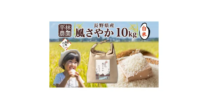 【ふるさと納税】＜新米予約＞無地熨斗 令和6年産 風さやか 白米 10kg×1袋 長野県産 米 精米 お米 ごはん ライス 甘み 農家直送 産直 信州 人気 ギフト 平林農園 熨斗 のし 名入れ不可 送料無料 長野県 大町市 | お米 こめ 白米 食品 人気 おすすめ 送料無料