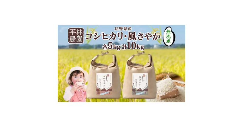 【ふるさと納税】＜新米予約＞令和6年産 コシヒカリ 風さやか 無洗米 各5kg 長野県産 米 白米 精米 お米 ごはん ライス 甘み 農家直送 産直 信州 人気 ギフト 時短 お取り寄せ 平林農園 送料無料 長野県 大町市 | お米 こめ 白米 食品 人気 おすすめ 送料無料