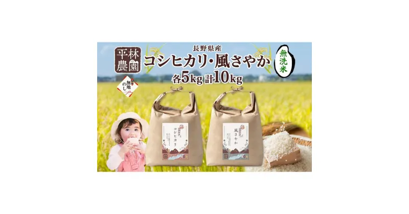 【ふるさと納税】＜新米予約＞無地熨斗 令和6年産 コシヒカリ 風さやか 無洗米 各5kg 長野県産 米 白米 精米 お米 ごはん 甘み 産直 信州 人気 ギフト 時短 平林農園 熨斗 のし 名入れ不可 送料無料 長野県 大町市 | お米 こめ 白米 食品 人気 おすすめ 送料無料