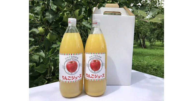 【ふるさと納税】信州産りんごジュース2本【 飲料 ドリンク 長野県 飯山市 リンゴ 林檎 くだもの 果物 美味しい おいしい お取り寄せ 飲み物 ドリンク リンゴジュース 林檎ジュース お返し お礼 御礼 ごあいさつ ご挨拶 贈答用 贈答品 】