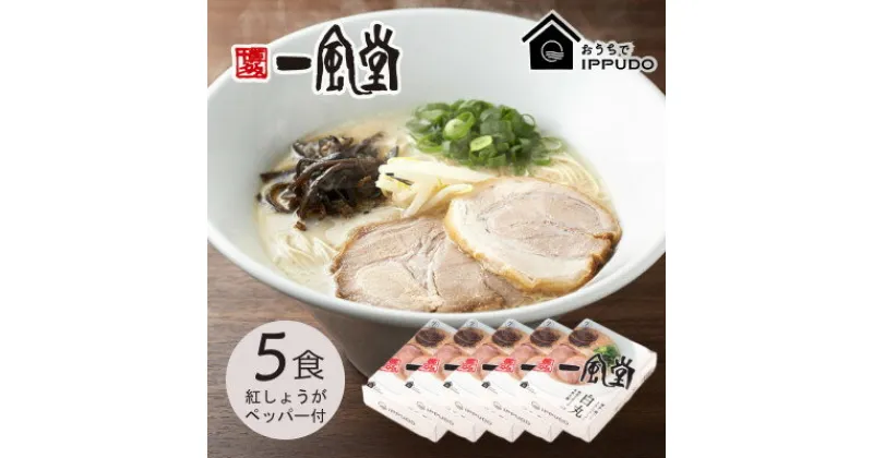 【ふるさと納税】博多一風堂 豚骨ラーメン 白丸1食×5箱 とんこつ博多細麺【1558464】