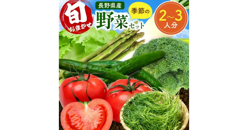 【ふるさと納税】おまかせ野菜セット 2～3人分 約 5kg | 野菜 やさい 旬 の 野菜 長野県 塩尻市