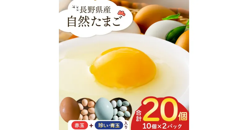 【ふるさと納税】 放し飼い自然たまご 10個×2パック | 卵 たまご 玉子 塩尻市 長野県 信州