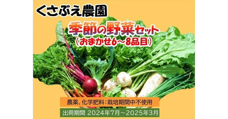 【ふるさと納税】 くさぶえ農園 季節の野菜セット (おまかせ6～8品目) 高原野菜 無農薬 新鮮 旬 簡単レシピ 〈2024年7月1日出荷開始～2025年3月31日出荷終了〉【 産地直送 産直 高原野菜 季節の野菜 旬の野菜 有機野菜 有機栽培 農薬 化学肥料 不使用 長野県 佐久市】