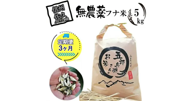 【ふるさと納税】【令和6年産】フナで育てた「五郎兵衛さんのお米」農薬不使用米5kg 定期便3ヶ月＜出荷開始：2024年10月初旬以降順次配送＞【五郎兵衛米 米 コメ 白米 精米 お米 こめ おこめ 備蓄品 仕送り おすそ分け 備蓄米 コシヒカリ こしひかり 長野県 佐久市 】