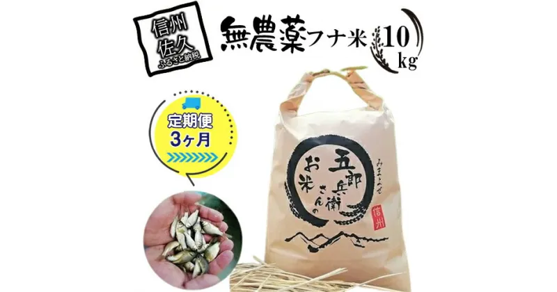 【ふるさと納税】【令和6年産】フナで育てた「五郎兵衛さんのお米」農薬不使用米10K　定期便3ヶ月＜出荷開始：2024年10月初旬以降順次配送＞【五郎兵衛米 米 コメ 白米 精米 お米 こめ おこめ 備蓄品 仕送り おすそ分け 備蓄米 コシヒカリ こしひかり 長野県 佐久市 】